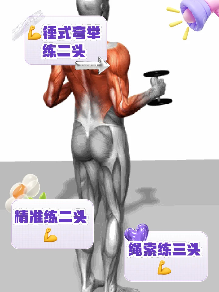 篮球训练计划一个月重早到晚_0